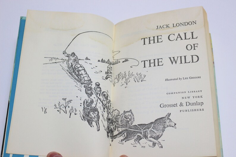 Double Feature Book Black Beuty and The Call of the Wild imagem 9