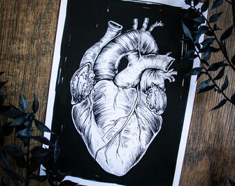 Könnte beinhalten: Eine Schwarzweiß-anatomische Illustration eines menschlichen Herzens. Das Herz ist detailliert gezeichnet und zeigt die Kammern, Klappen und Arterien. Das Bild ist auf schwarzem Hintergrund gedruckt.