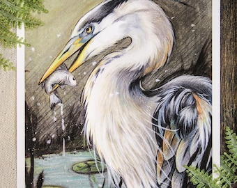 Reiher Portrait Fine Art Print | 5x7 Vogel Wildtiere Kunstwerk | Signierte Natur Illustration