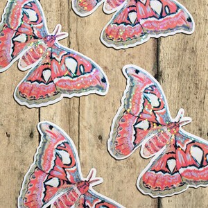 Atlas Moth Holographic Sticker | Colorful Water & UV Resistant Vinyl Stationery image 3