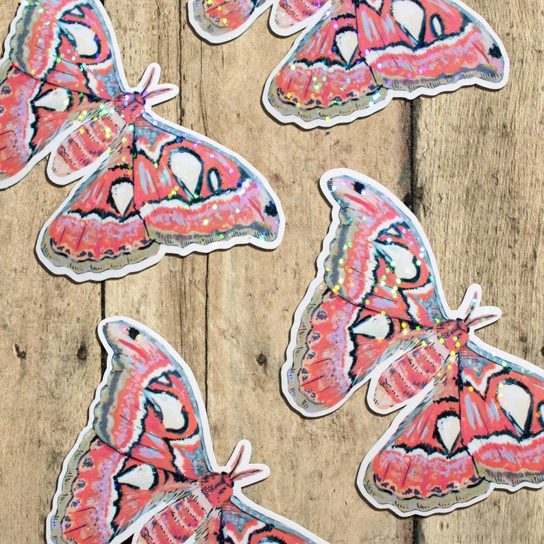 Atlas Moth Holographic Sticker | Colorful Water & UV Resistant Vinyl Stationery image 3