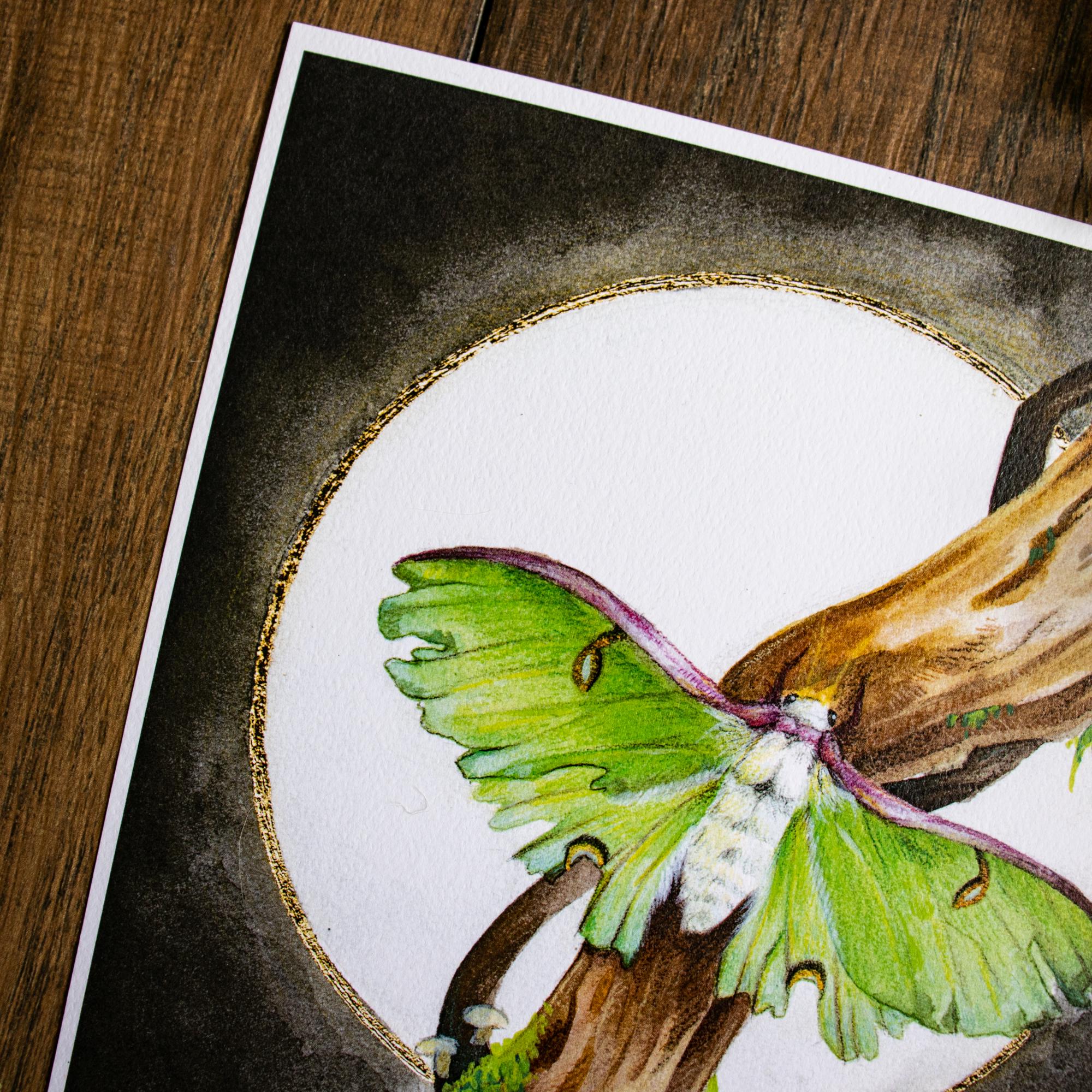 Luna Moth Art Print | Tattered Wings, Mystical Insect Decor (8x10) - Etsy