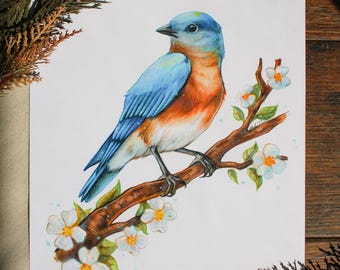 Eastern Bluebird Art Print | 8x10 Bird with Flowers Artwork