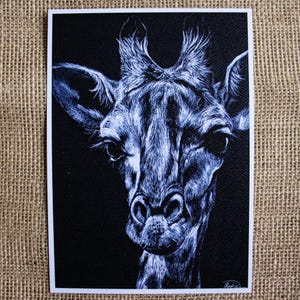 Giraffe Portrait Fine Art Print | Black and White Safari Animal Drawing (5x7)