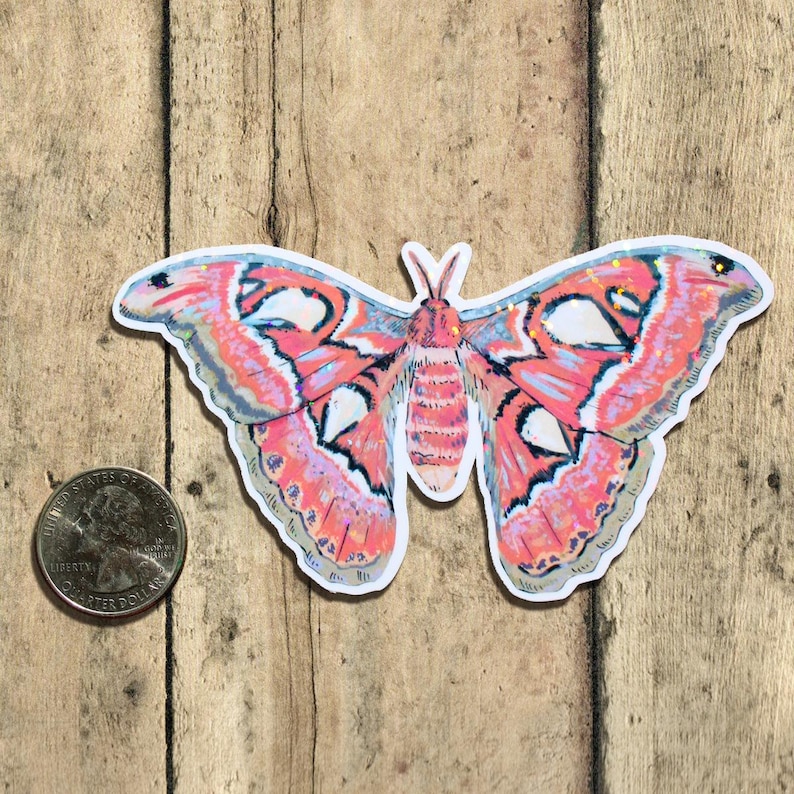 May include: A sticker of a moth with pink, orange, and white patterned wings, positioned next to a coin for scale. The moth features symmetrical wing markings with white triangular accents and a fuzzy, pink-toned body, showing intricate detail.
