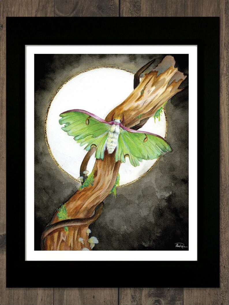 Luna Moth Art Print | Tattered Wings, Mystical Insect Decor (8x10) - Etsy