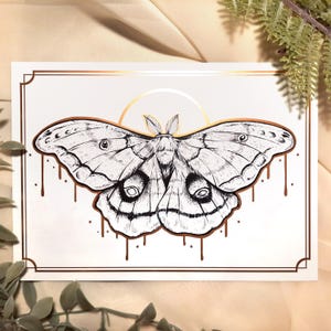 May include: A black and white illustration of a moth with a gold halo and dripping gold paint. The moth has large, detailed eyes and wings.