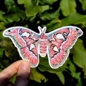 May include: A die-cut sticker featuring a moth with expansive wings in shades of coral pink, cream, and blue. The illustration includes intricate wing patterns with white accents and a subtle holographic glitter finish applied over the surface.