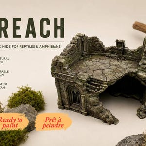Może przedstawiać: Szaro-zielona kryjówka z żywicy dla gadów w kształcie kamiennych ruin z brukowaną podłogą i łukowatym oknem. Tekst: THE BREACH, REALISTIC HIDE FOR REPTILES & AMPHIBIANS, NATURAL LOOK, DURABLE RESIN, EASY TO CLEAN, Ready to paint, Prêt à peindre.