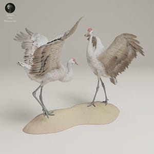 Crane Resin 3D Figurine 1/24 Scale Ready to Paint, Nuptial Dance Birds Decor for Collectors