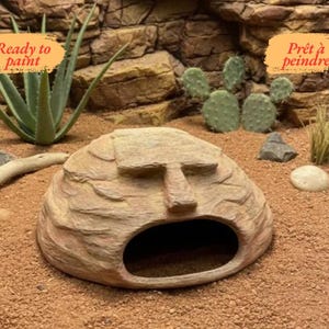 Puede incluir: Un escondite para reptiles de color beige, con forma de roca y diseño de rostro, con una gran abertura. La escena incluye aloe vera, cactus y el texto "Prêt à peindre".