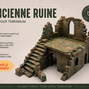 Op de afbeelding: Een gedetailleerde, verweerde miniatuurruïne voor een terrarium, met trappen, bogen en een getextureerd oppervlak. De tekst op de afbeelding luidt "ANCIENNE RUINE" en "ABRI POUR TERRARIUM".