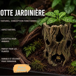 May include: A decorative terrarium hideaway shaped like a tree stump, with multiple openings and a small plant growing from the top. The text on the image says "GROTTE JARDINIÈRE". The hideaway is designed to look natural and is suitable for plants and animals.