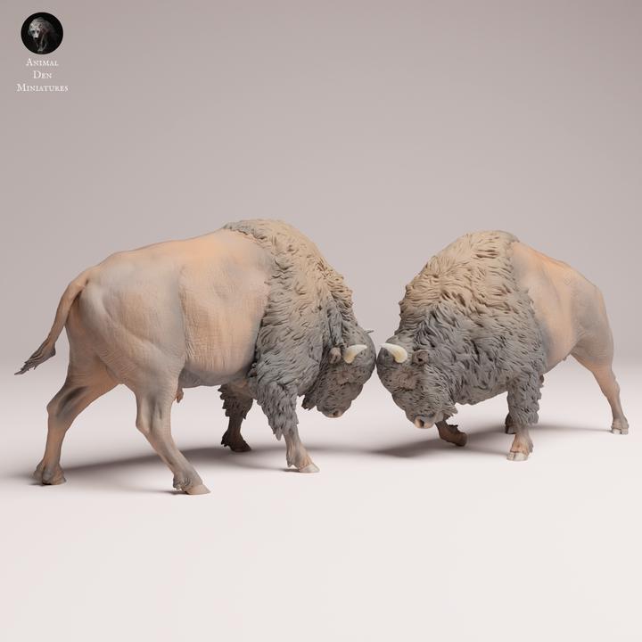 Bison Fight Figurines - 1/24 Scale Resin Kit to Paint - Diorama & Unique Gift