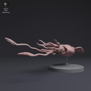 Peut inclure: Une miniature rose détaillée d'un calmar, montée sur une base grise. Le modèle présente des détails complexes des tentacules et du corps du calmar. Le texte "Animal Den Miniatures" est dans le coin supérieur gauche.