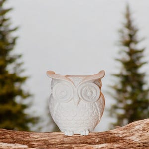 Pot Multifonction Hibou en Jesmonite - Porte-Crayons, Pot de Fleurs, Pot de Plantes - Design Unique, Décoration Polyvalente