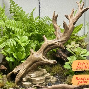 Op de afbeelding: Een terrarium met een bruine tak van drijfhout, groen varenblad en vetplanten op een rotsachtige ondergrond. Twee oranje labels bevatten de tekst "Prêt à peindre" en "Ready to paint" in zwarte letters.