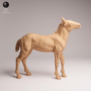 May include: A detailed, tan-colored sculpture of a young horse, standing with its head raised. The sculpture has a smooth finish, showcasing the horse's muscular form. The Animal Den Miniatures logo is visible in the upper left corner.