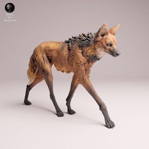 May include: A detailed figurine of a maned wolf, featuring a reddish-brown coat with black accents on the legs and mane. The sculpture is posed in a walking stance, showcasing the animal's slender build and long legs. The logo "Animal Den Miniatures" is in the upper left corner.
