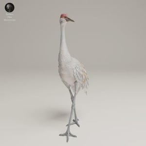 Crane Resin 3D Figurine 1/24 Scale Ready to Paint, Elegant Bird Decor for Collectors Modeling