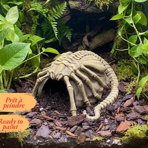 May include: A beige, skeletal, multi-legged creature figurine with a long, segmented tail resting on dark soil. The object features a hollow underside and is surrounded by green leafy plants. Text on the image reads: Prêt à peindre Ready to paint.