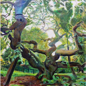 May include: An oil painting of a large, gnarled tree with twisting branches. The tree's trunk and limbs are a mix of brown and green, set against a backdrop of lush green foliage and a glimpse of a park setting. The artwork has a painterly style.