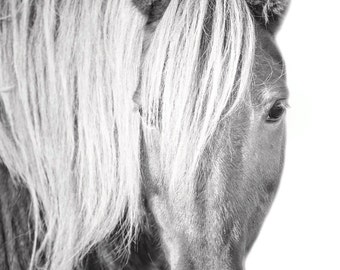 Wild Horse with great hair - Black and White Minimal Animal Photography Wall Art