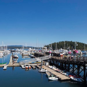 Friday Harbor Marina, San Juan Island, Washington Photo Print