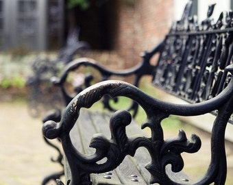 Charleston Garden Bench Photo Print