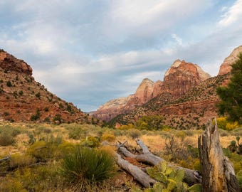 Impression de photo de paysage de parc national de Zion