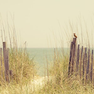 Beach Sand Dune Photo South Carolina - &quot;Hazy Days of Summer&quot; -  Soft Color Nature Photo Print - Beach House Decor