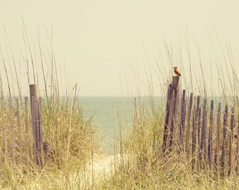 Beach Sand Dune Photo South Carolina - "Hazy Days of Summer" -  Soft Color Nature Photo Print - Beach House Decor