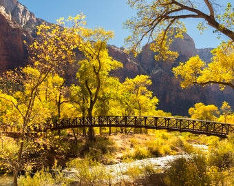 Zion's Virgin River Bridge in Autumn Photo Print