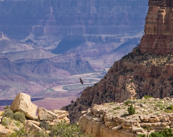 Grand Canyon and Colorado River Photo - Landscape Photo Print - Grand Canyon, Arizona