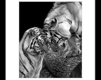 Love♡Tiger peace love tigers – Bittersweet Derby KS