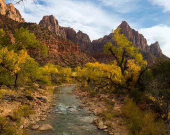 Zion National Park Virgin River Photograph Print