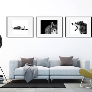 Wolf Photos Gift Set - Three Black and White Wolf Prints - Wolf Decor