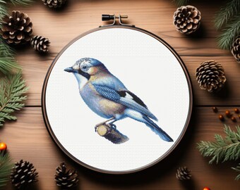 Jay Cross Stitch Pattern, Jay Bird Cross Stitch Pattern, Blue Jay Bird - Instant Download