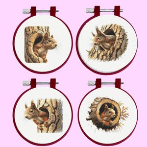 Kruissteekpatroon eekhoorn: set van 4 eekhoorns, direct downloaden