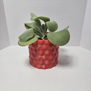 May include: A small green succulent plant in a red geometric planter. The planter has a textured, diamond-shaped pattern.