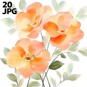 20 fleurs abstraites Clipart, JPG floral aquarelle orange de haute qualité, des cliparts aquarelle, Junk Journal, téléchargement numérique, créations en papier