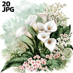 Weiße Calla-Lilien-Clipart-Bundle, Blumen Clipart, weiße Blume, 20 hochwertige JPGs, Aquarell Clipart, Junk-Journal, digitaler Download