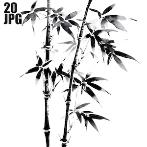 20 zwarte inkt bamboe clipart, Japanse Sumi-inkt, botanische planten, hoge kwaliteit JPG's, aquarel clipart, Junk Journal, digitale download