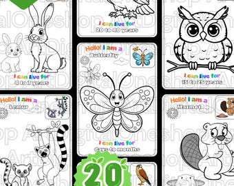 Kleurboek wilde dieren, educatieve activiteit, vlinder, vleermuis (pdf-patroon)