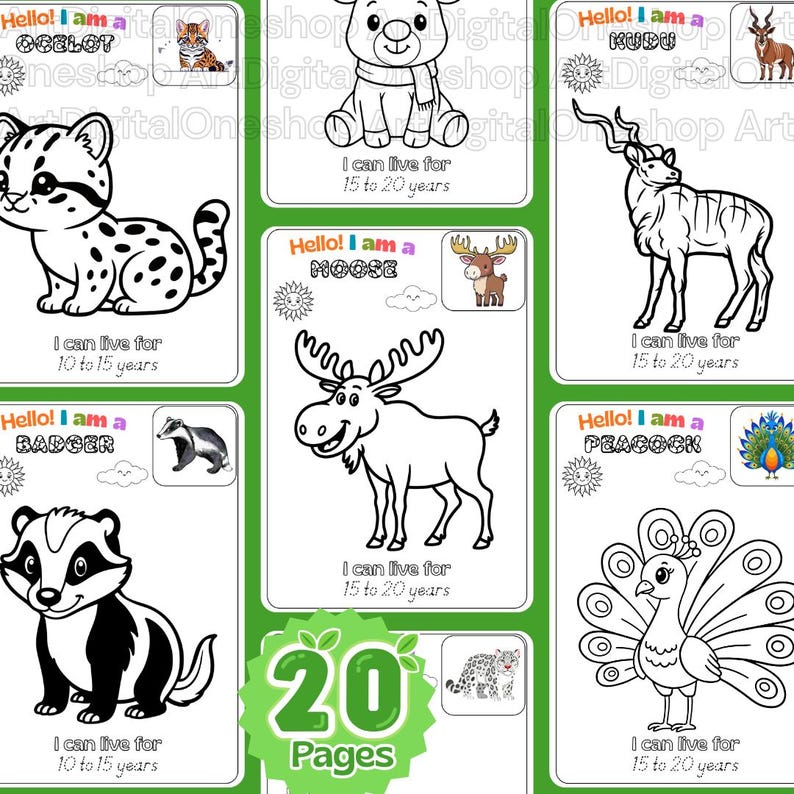 Wild Animal Coloring Pages, Educational Facts, Homeschool Activity (A4 ...