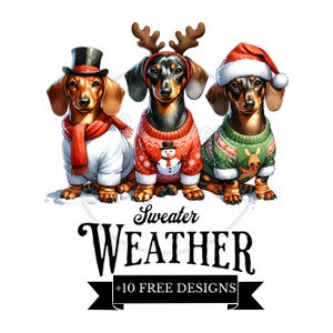 Christmas Dachshund Png, Sweater Weather Dachshund Png, Dog Mom Gift, Dachshund Lover, Gift, Wiener Png, Sausage Dog, clipart Doxie, Weenie