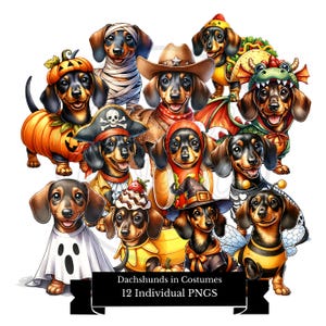 Halloween Dachshund Png Bundle, Dachshunds in Halloween Costumes PNG, Dog Mom Gift, Dog Lover, Sausage, Doxie, Halloween Weenie Dog clipart