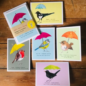 May include: Set of 6 watercolour note cards featuring different birds with umbrellas. Each card has the bird's name and scientific name, along with a brief description. The birds include a robin, a blue tit, a wren, a blackbird, and a magpie.