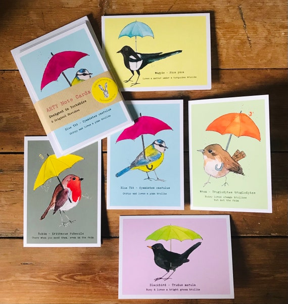 New Birds with Brollies ( Umbrellas) note cards - pack of 5 cards blank for your messages - inspired by the rain and the birds in wellies !