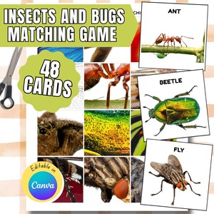 May include: A matching game featuring insects and bugs. The game includes 48 cards with images of various insects, including an ant, beetle, and fly. The title "Insects and Bugs Matching Game" is displayed at the top, with "Editable in Canva" at the bottom.